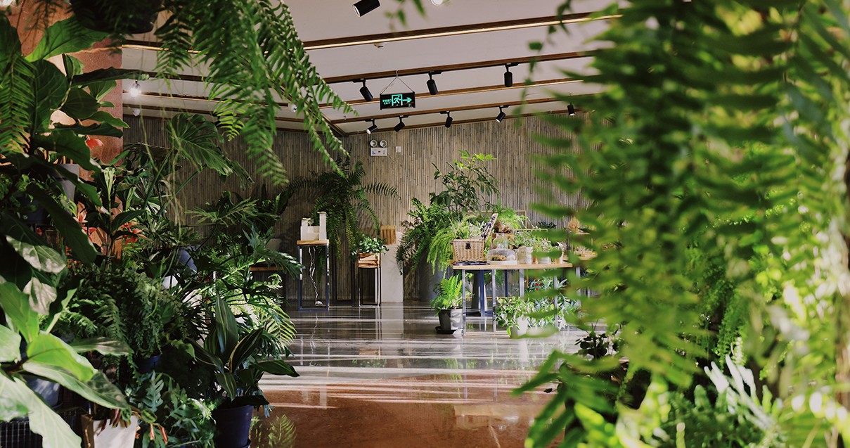 JDB电子奥莱·滇池幼镇