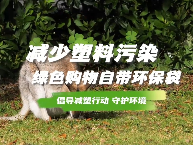 1713836977569053531675_506