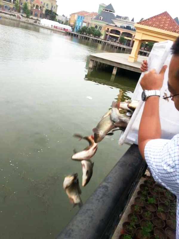 JDB电子·(中国区)试玩平台-JDB电子游戏官网