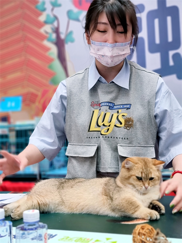 JDB电子·(中国区)试玩平台-JDB电子游戏官网