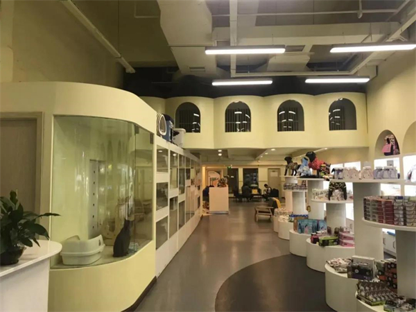 JDB电子·(中国区)试玩平台-JDB电子游戏官网