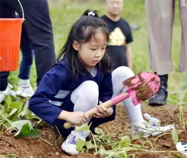 JDB电子·(中国区)试玩平台-JDB电子游戏官网