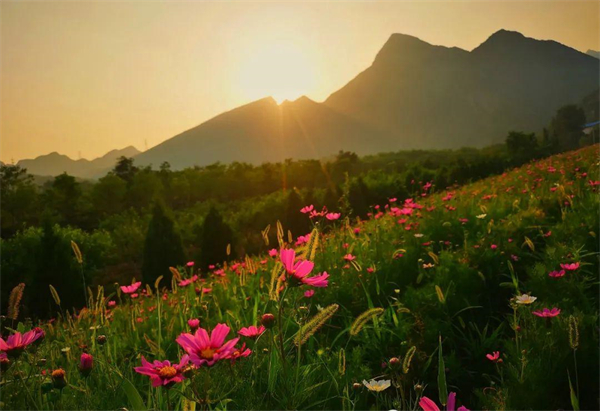 JDB电子·(中国区)试玩平台-JDB电子游戏官网