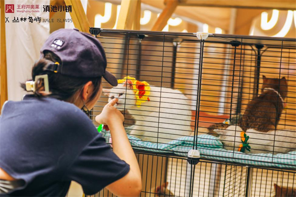 JDB电子·(中国区)试玩平台-JDB电子游戏官网